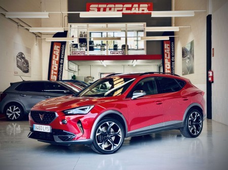 Cupra Formentor 2.0 Tsi · 310 CV VZ 4Drive DSG